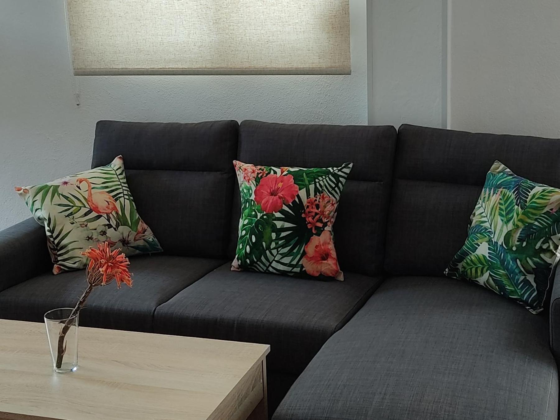 Apartamentos Bolonia - M A N U E L A Rom bilde